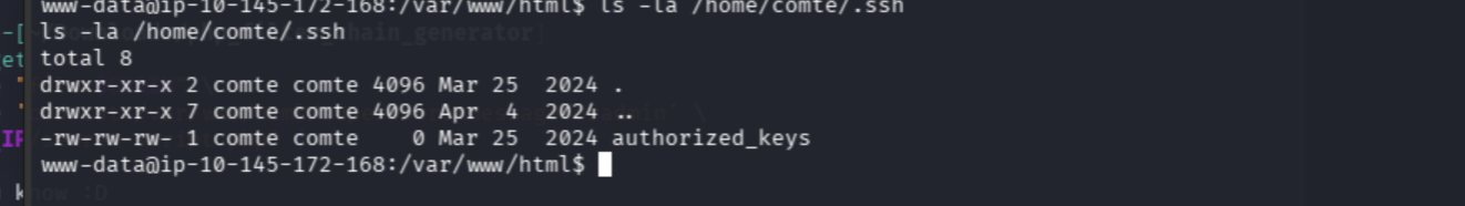 The comte authorized_keys file showing world-writable permissions